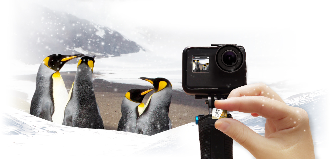 Superior Pro<br>microSDXC_Colorful<br><font color='#888888' size='2%'>Class 10. UHS-I U3. V30. A1. 4K UHD</font> Get Out There, Worry-Free