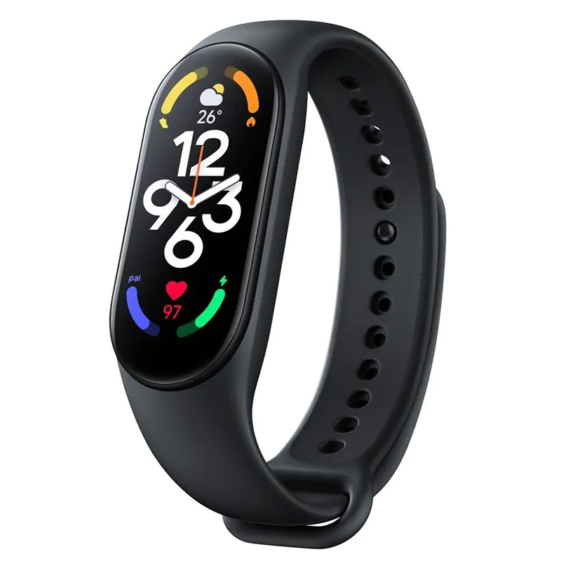 Smart Wristband