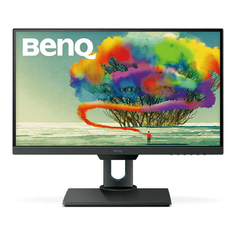 BenQ 25in QHD IPS sRGB Professional Monitor (PD2500Q)