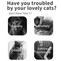 61205_thumb_P_1636682708163