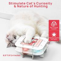 61205_thumb_P_1636682708829