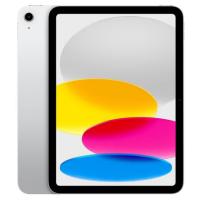 Apple 10.9 inch iPad - WiFi 256GB - Silver (MPQ83X/A)