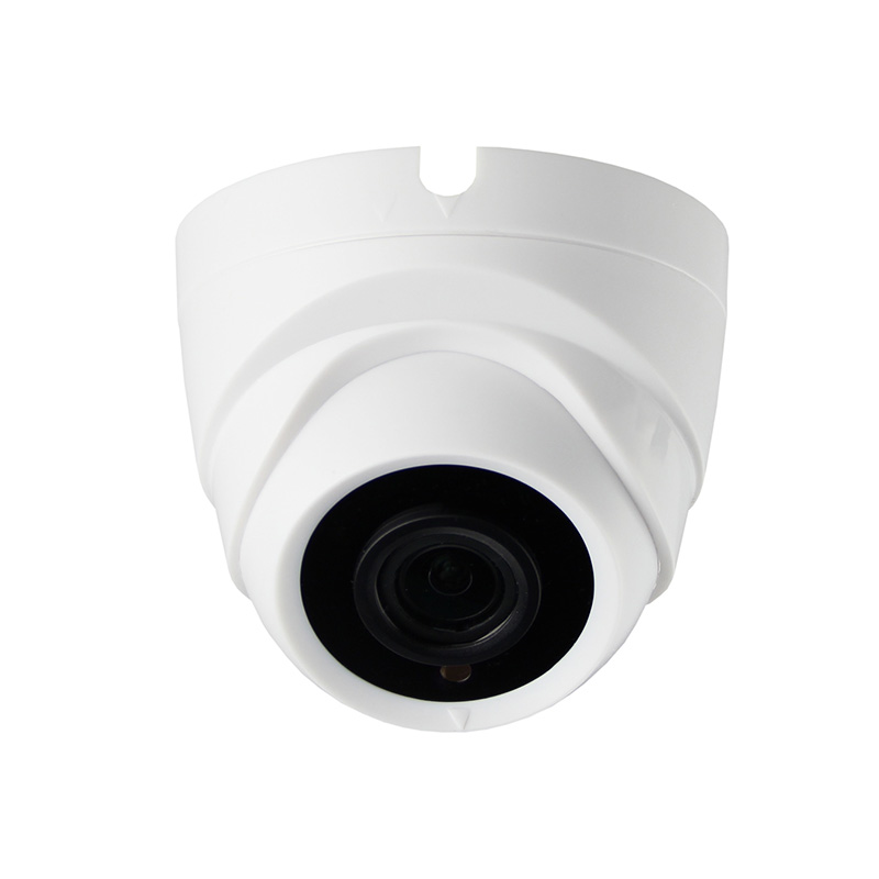 Surveilist Plastic Dome POE IP Camera. 1/2.9 SONY CMOS Sensor