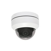 Surveilist CAMID502 Vandal-proof DomePOE IP Cam. 1/2.7 OV Low Illumination