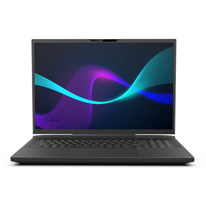 Infinity 17.3in WQXGA 240Hz i9 13900HX RTX4090 1TB SSD 16GB RAM W11H Gaming Laptop (N7-13R9A-999)