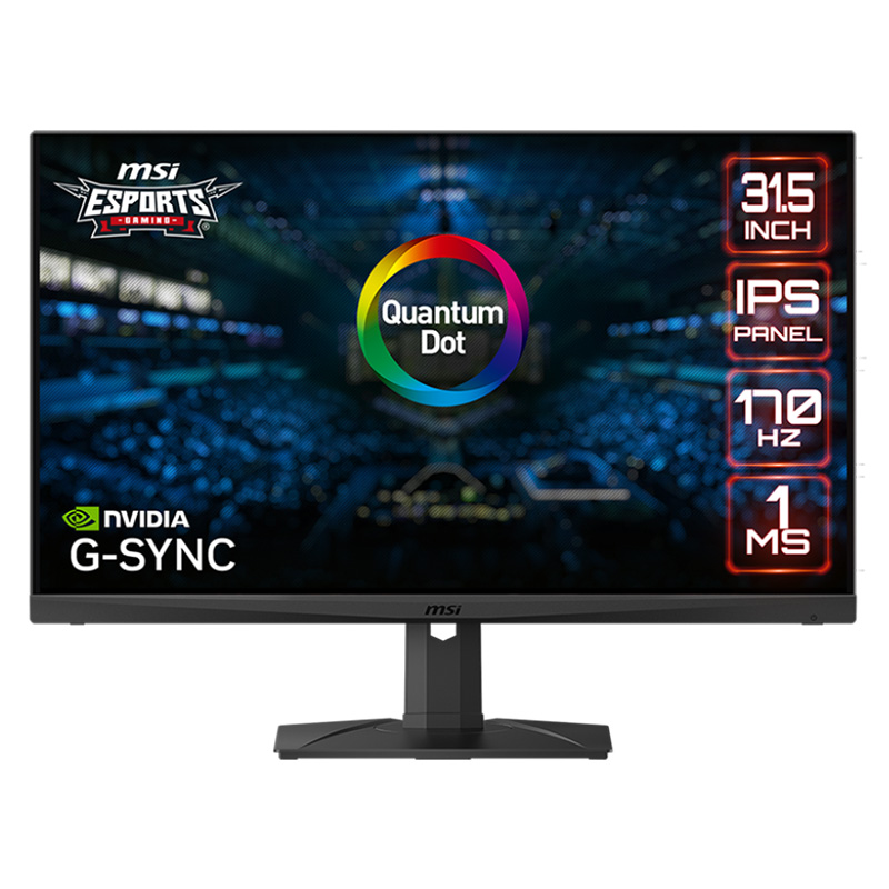 MSI 31.5in WQHD 170Hz IPS Gaming Monitor (OPTIX MAG321QR-QD)