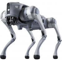 Unitree Go2 Robot Dog Quadruped Robotics for Adults Embodied AI (Go2 Air)