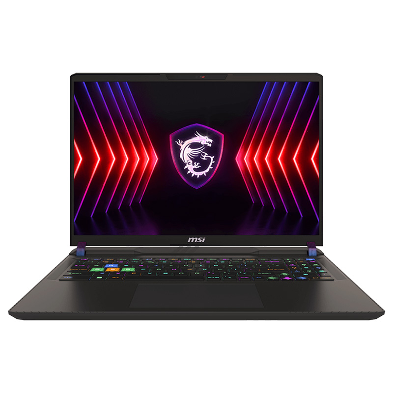 MSI Vector 16 HX A14VHG 16in QHD+ 240Hz i9-14900HX RTX 4080 2TB SSD 32GB RAM W11H Gaming Laptop (Vector 16 HX A14VHG-431AU)