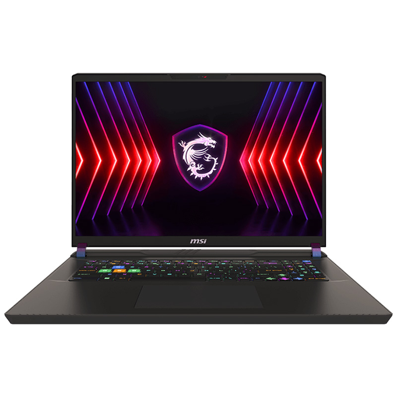 MSI Vector 17 HX A14VHG 17in QHD+ 240Hz i9-14900HX RTX 4080 2TB SSD 32GB RAM W11H Gaming Laptop (Vector 17 HX A14VHG-653AU)