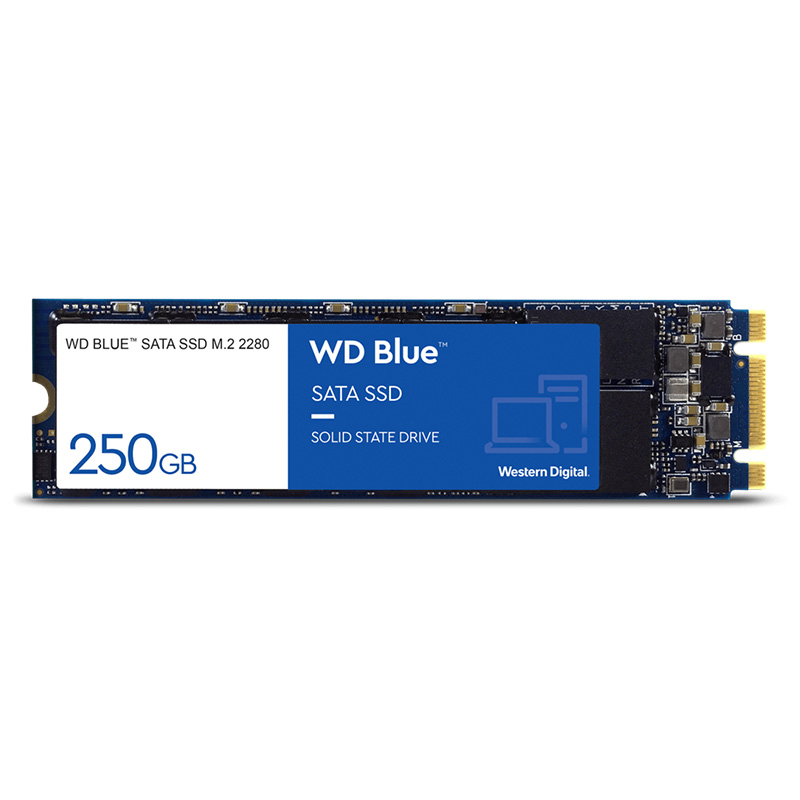 Western Digital 250GB Blue M.2 2280 SATA SSD (WDS250G2B0B)