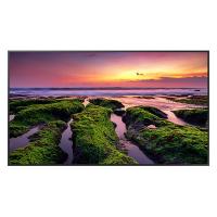 Samsung QBB 75in UHD 4K VA Professional Display Monitor (LH75QBBEBGCXXY)