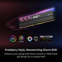 DDR5-RAM-SP-Silicon-Power-XPOWER-STORM-RGB-DDR5-32GB-2x16GB-6400MHz-Gaming-Memory-Supports-Intel-XMP-AMD-EXPO-CL32-UDIMM-Desktop-PC-Computer-RAM-Memory-Gray-6