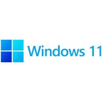 Microsoft Windows 11 Pro 64bit OEM DVD (FQC-10528)