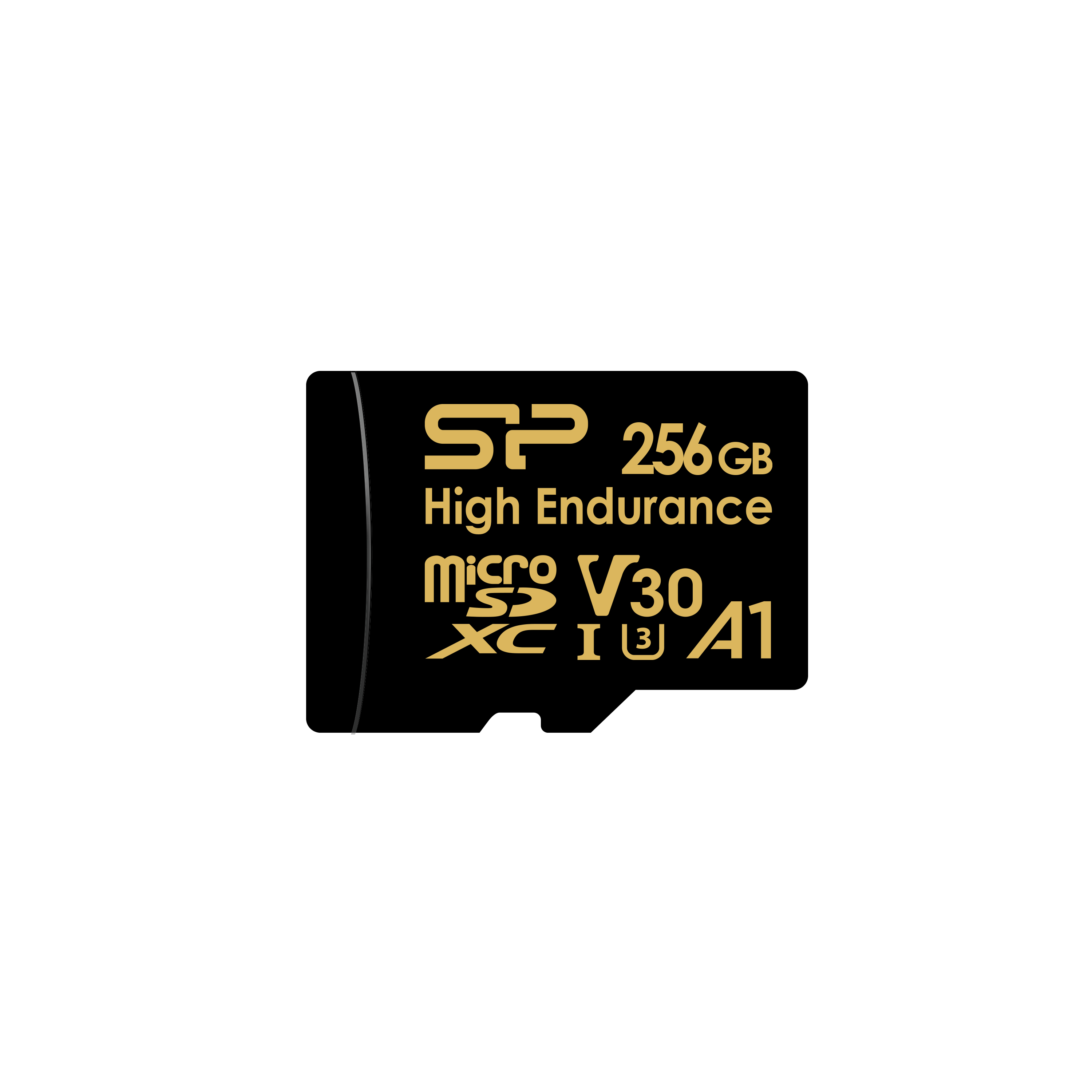 Silicon Power 256GB High Endurance 4K MicroSDXC with Adapter for 4K Videos, Car Dash Cam,SZ256GBSTXDV3V1HAU