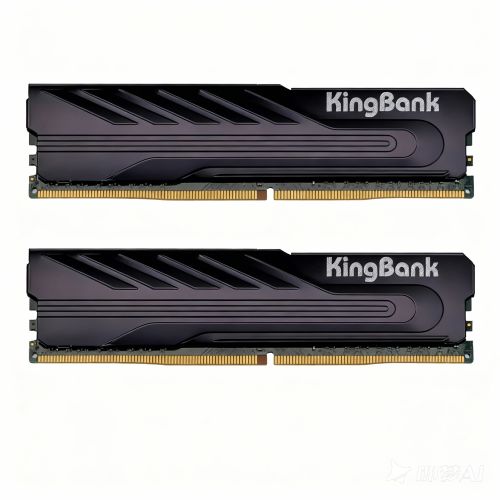 Kingbank KJXB DDR4 3200MHz (2*16GB) 32GB CL16 Black