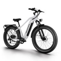 Electric-Bicycles-WOOKEN-26-x-4-0-Fat-Tire-Ebike-12