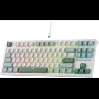 RK ROYAL KLUDGE C87 HE Rapid Trigger Gaming Keyboard, 75% TKL Wired RGB Mechanical Hall Effect Magnetic Switch Keyboard,Cyan