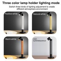 LED-Lights-AMBIENCE-TABLE-LAMP-short-13