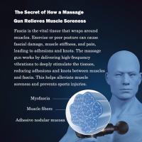 Personal-Care-and-Health-BDI-Mini-Massage-Gun-with-6-Speeds-4-Massage-Heads-LCD-version-BX720-10