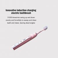 Z608-Powerful-and-Precise-Cleaning-Electric-Toothbrush-3