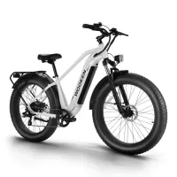 Wooken Electric Bike 48V 720WH Removable Battery 26" x 4.0 Fat Tire for Adults, Up to 60Miles Ebikes, Shimano 7 Speed, SGS Certified to UL2849