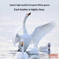 aecd7dfed73c01d9-f-w_200