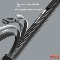 54d552aff8197fff-f-w_200