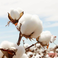 74a65c343d23d77b-w_200