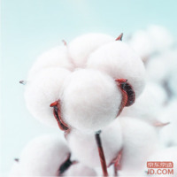 01f735e21caa86f3-w_200