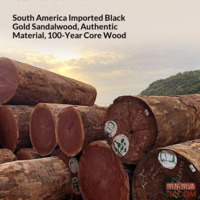 48bc2f1d09f5a4a3-f-w_200